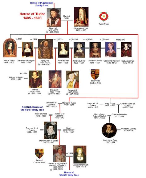 what is a tudor king|are there any tudor descendants living today.